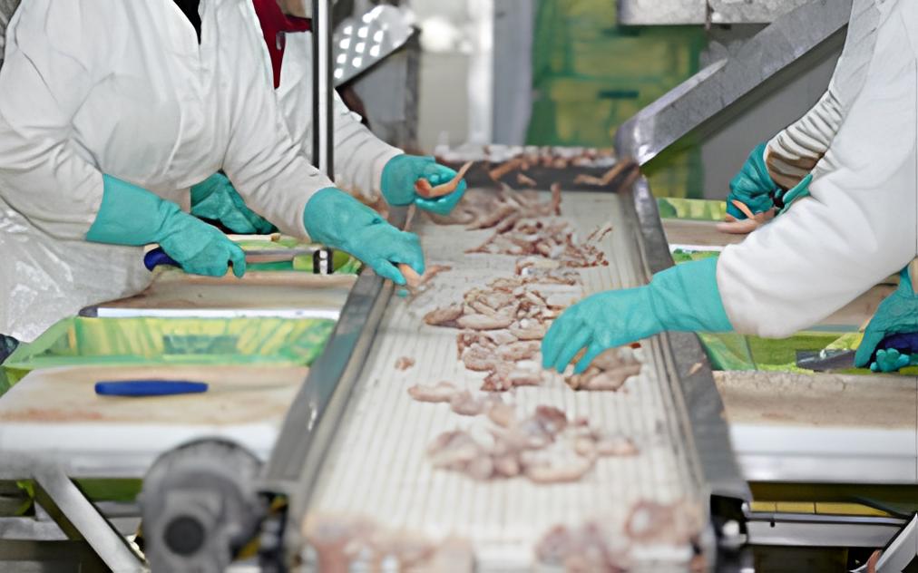 Food-Safety