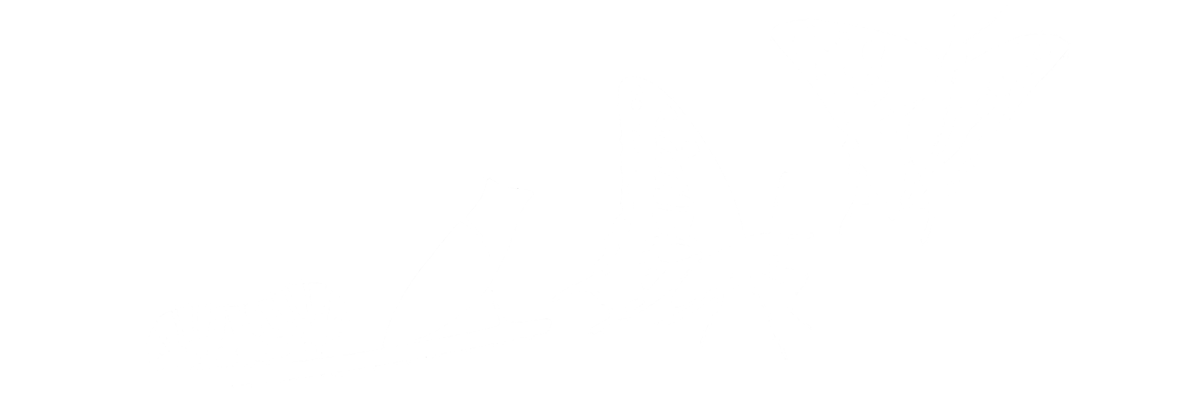 butterfly metamorphosis full White